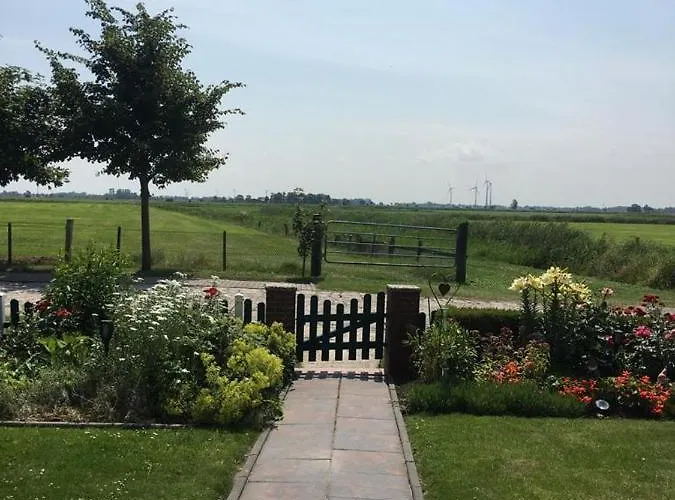 Auf Dem Land Schillig